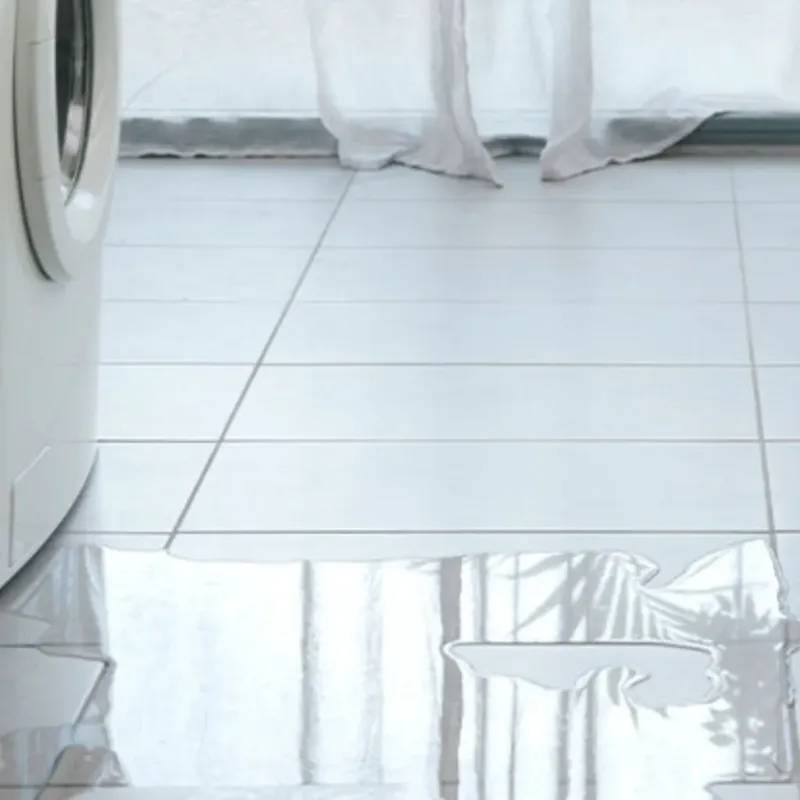 Appliance Leak Cleanup in Browning, MT