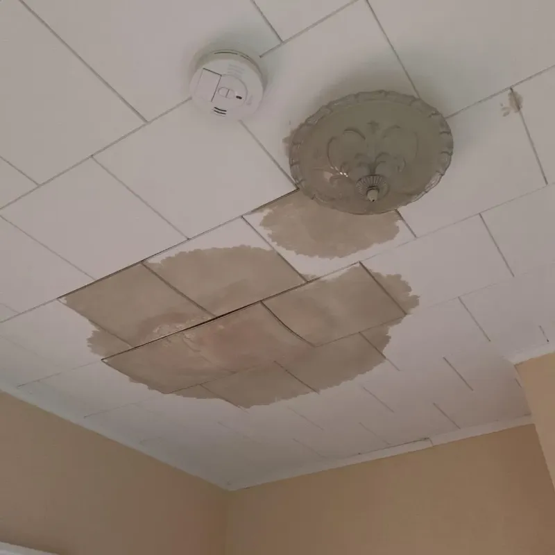 Ceiling Water Damage Repair in Browning, MT