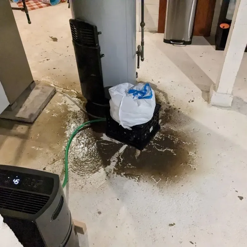 Sewage Backup Cleanup Service in Browning, MT